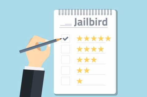 Jailbird review