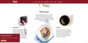 rio website example