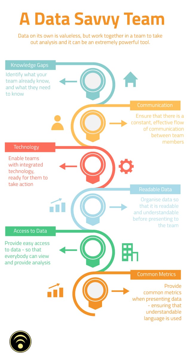 Data savvy team infographic