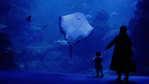 Mother and child stand in front of giant sting ray